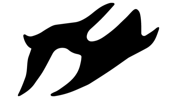 HNF studio